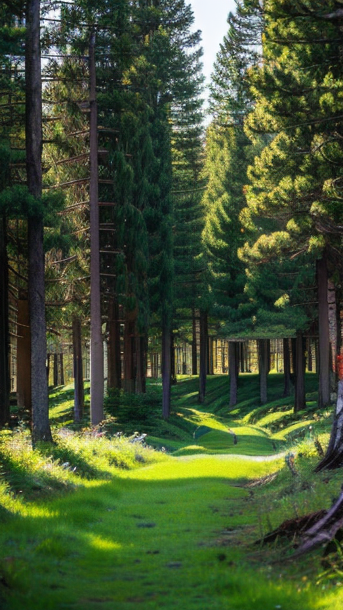 护眼大师手机版(护眼大师弹窗广告)-第4张图片-QuickQ官网