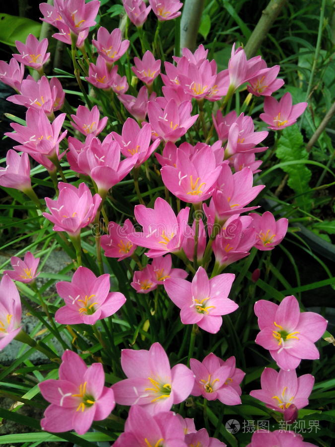 65wan手机版(65w的手机有哪些)-第2张图片-QuickQ官网