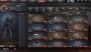 穿越火线无敌版苹果版(穿越火线无限版)-第2张图片-QuickQ官网 穿越火线无敌版苹果版(穿越火线无限版)-第2张图片-QuickQ官网