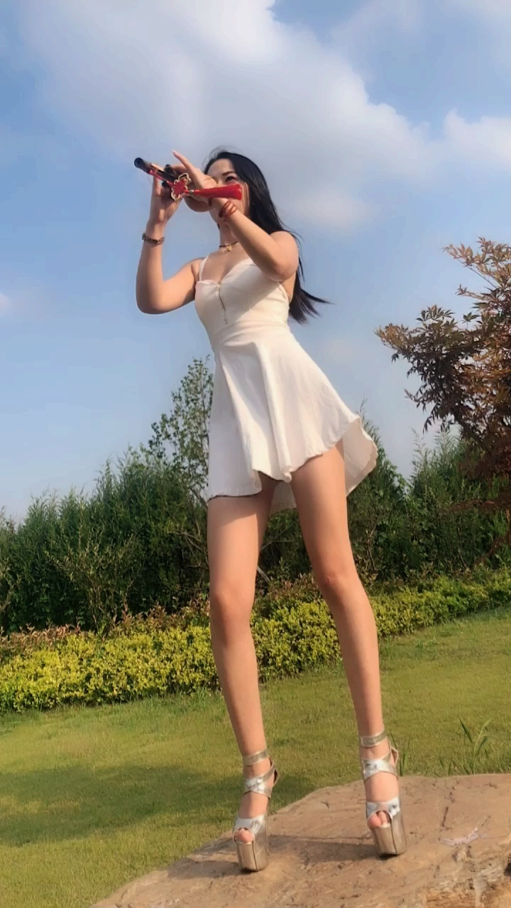 手机版吹裙子小游戏(吹裙子小游戏在哪安装)